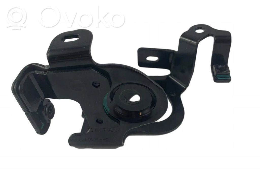 Fuel pump bracket   166345880R
