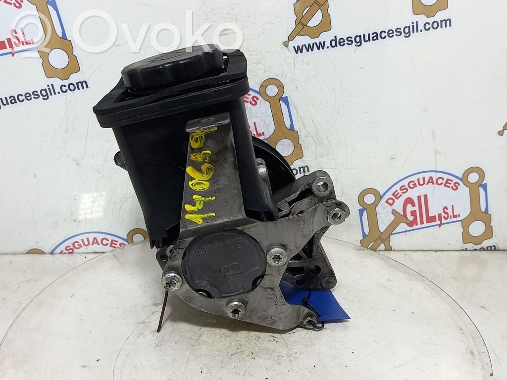Power steering pump   676095601,140689