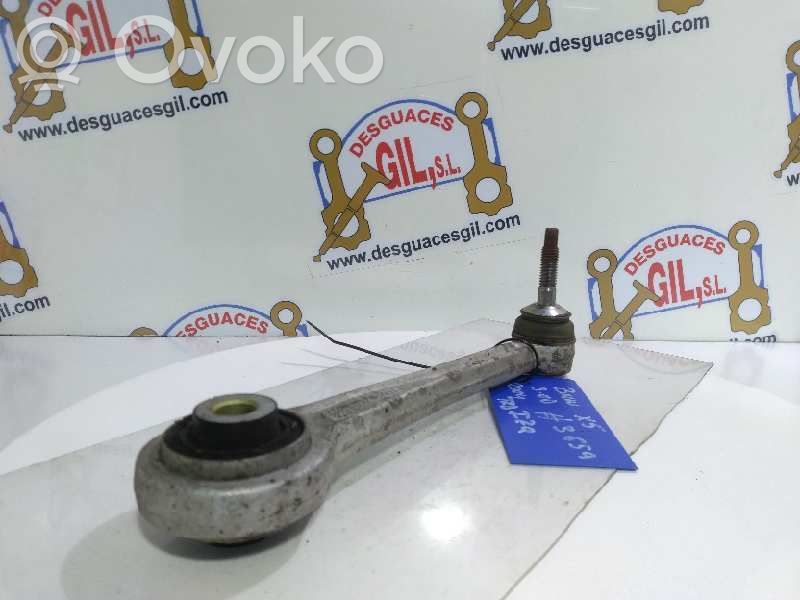 Querlenker hinten   1255178,80367