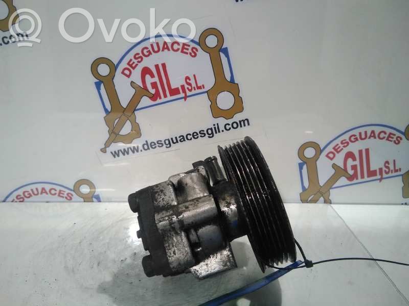 Power steering pump   53403