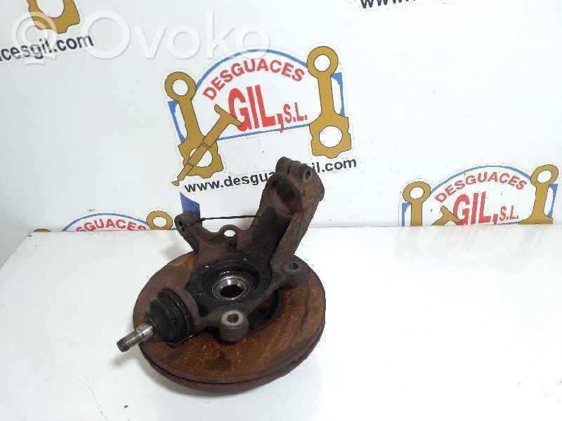 Front wheel hub spindle knuckle   75373