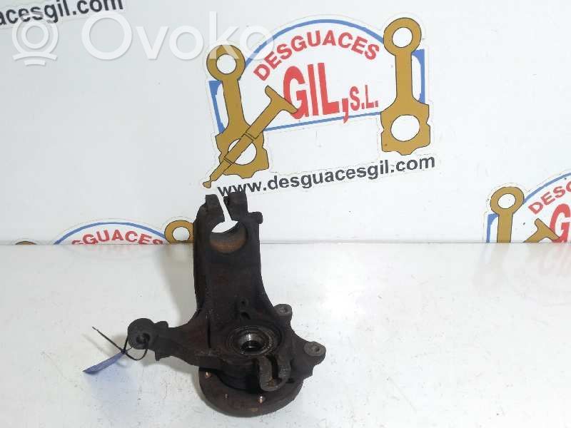 Front wheel hub spindle knuckle   78772