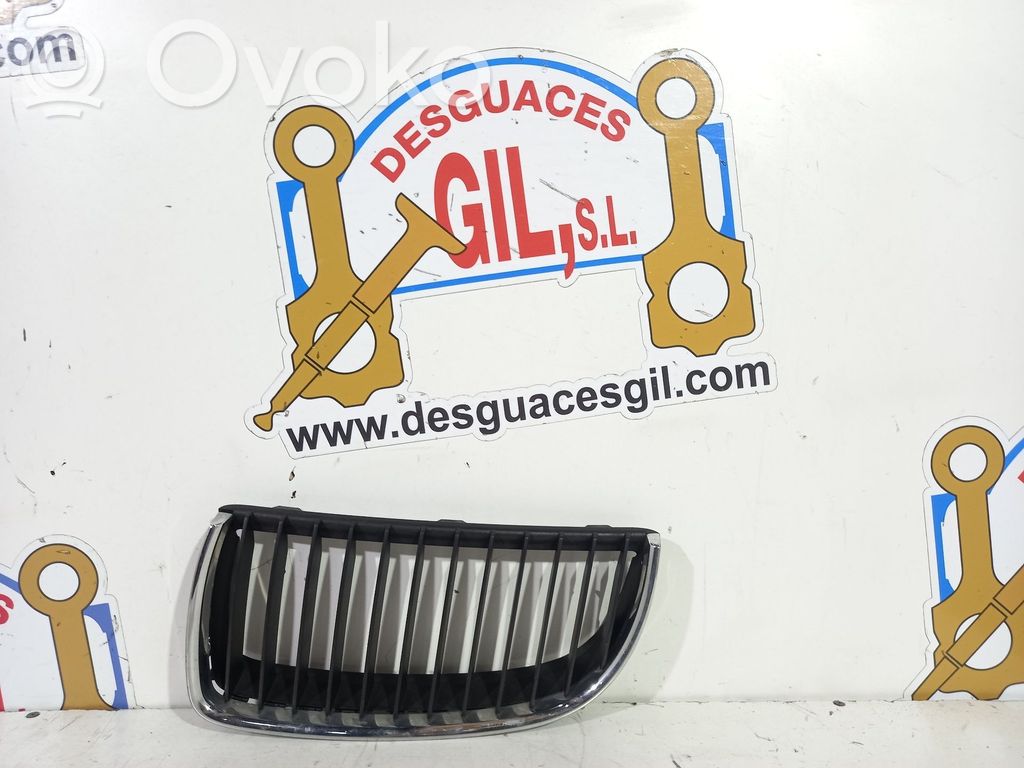 Atrapa chłodnicy / Grill   112624