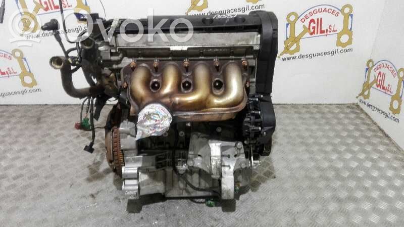 Variklis   6FZ,13351