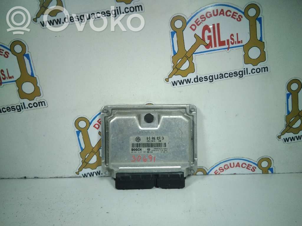 Engine control unit/module   045906019CA,30691