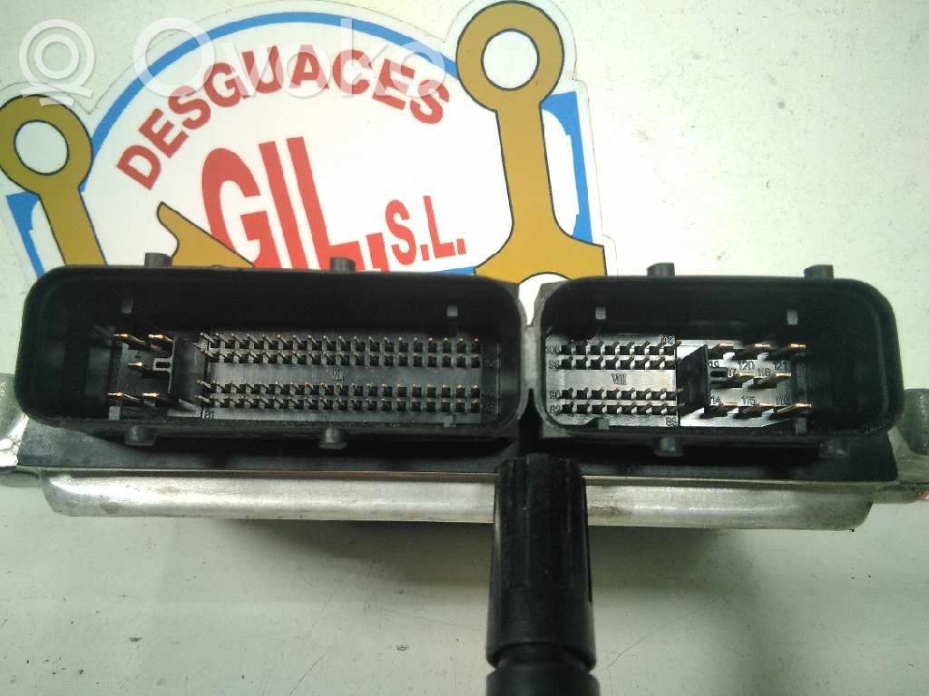 Engine control unit/module   045906019CA,30691