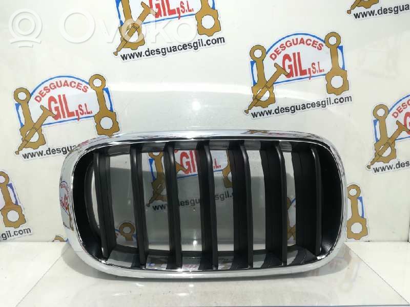 BMW X5 F15 Atrapa chłodnicy / Grill 