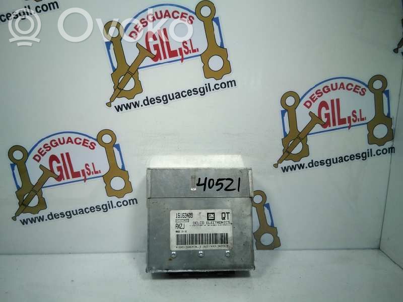 Engine control unit/module   16163409,40521