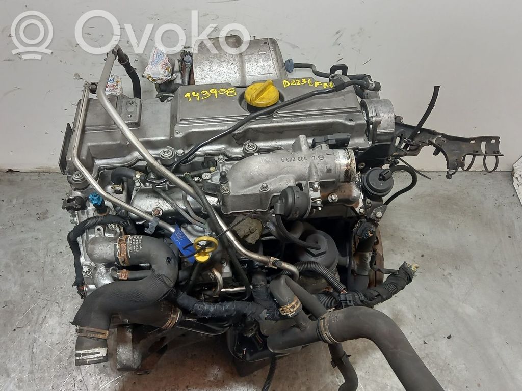 Variklis   D223LFM,143908