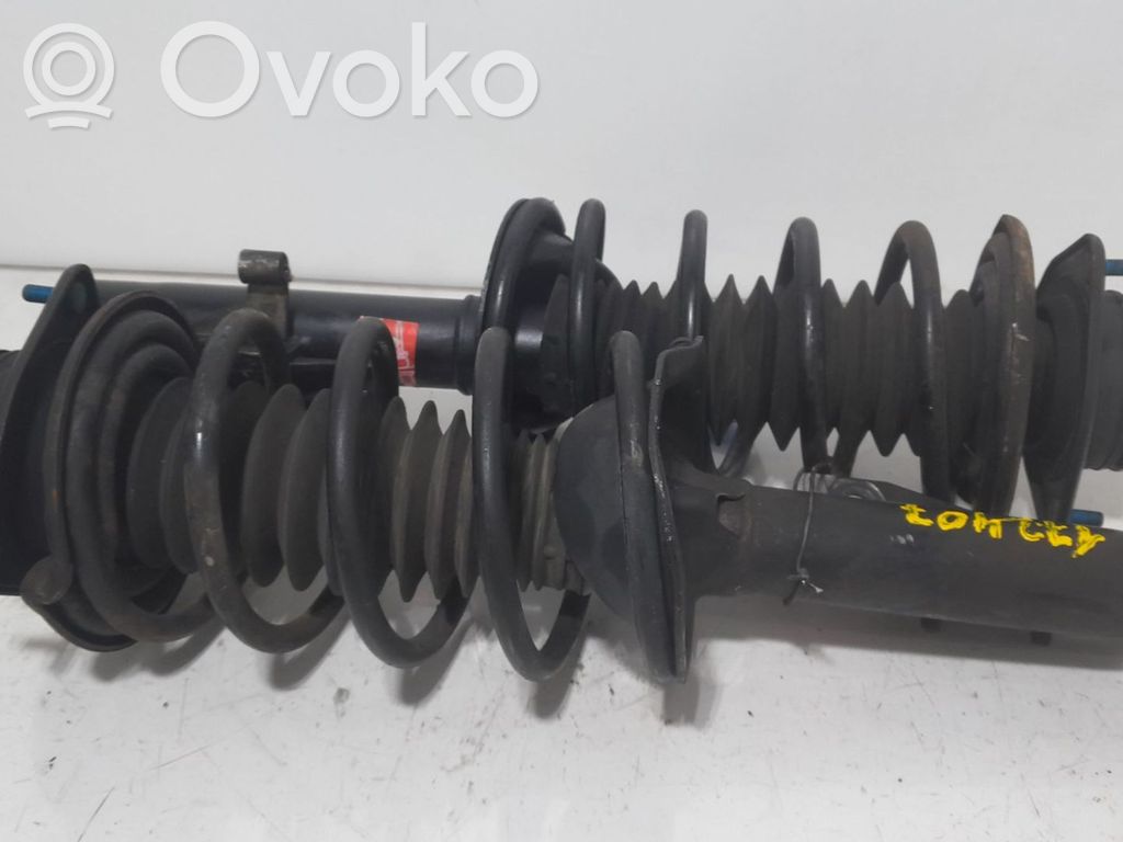 Stoßdämpfer vorne   172407