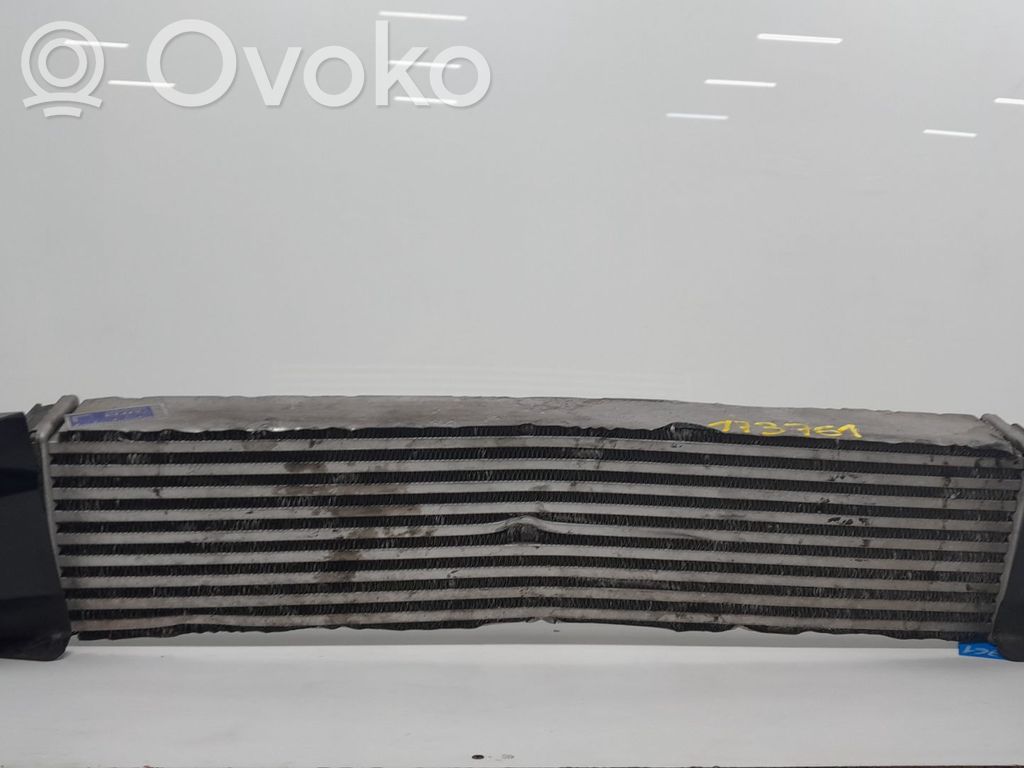Interkūlerio radiatorius   173761