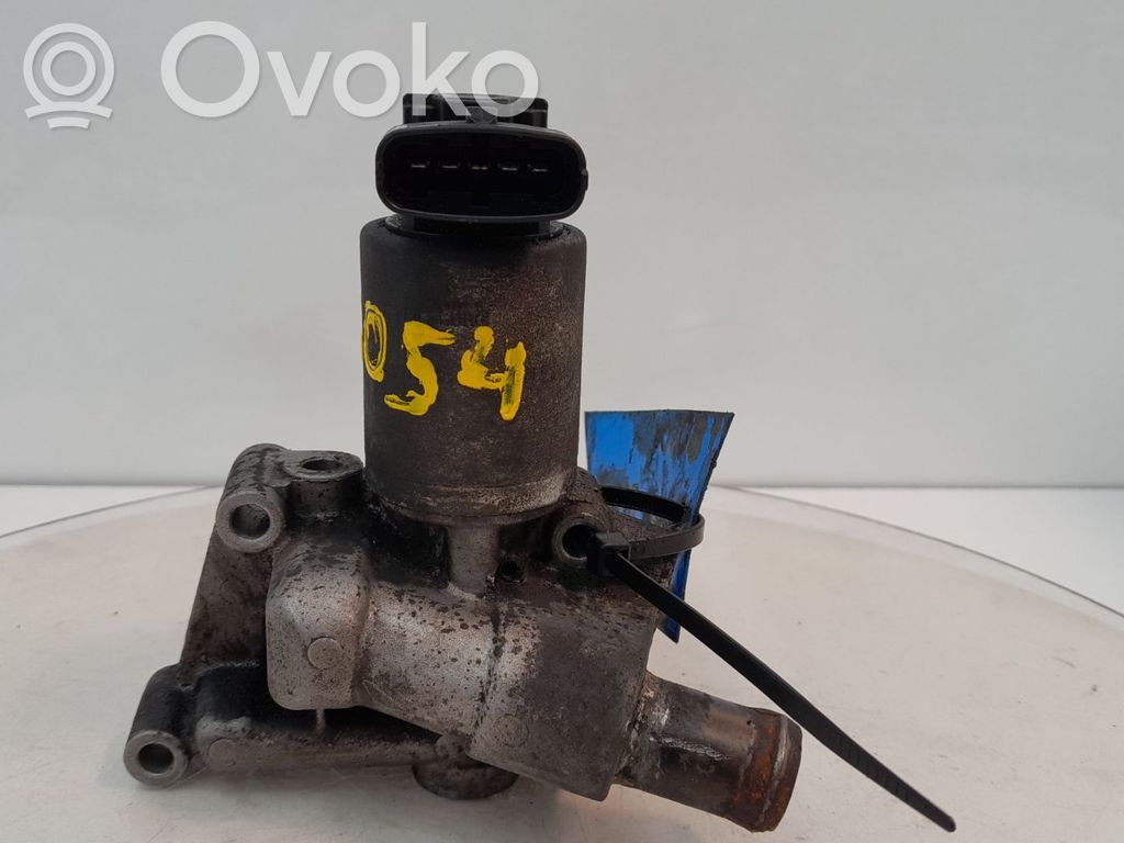 EGR vārsts   193054