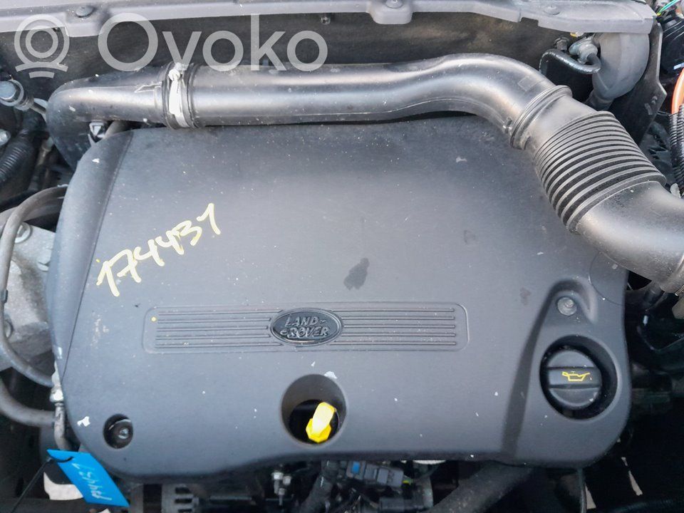 Motore   224DT,174431