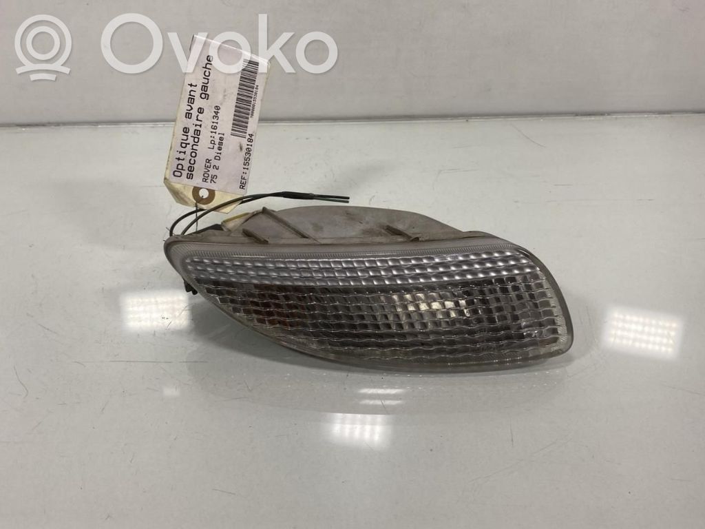Rover 75 Seitenblinker 