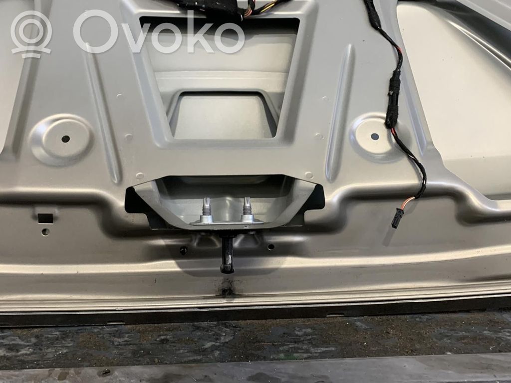Tailgate/trunk/boot lid   41003452197