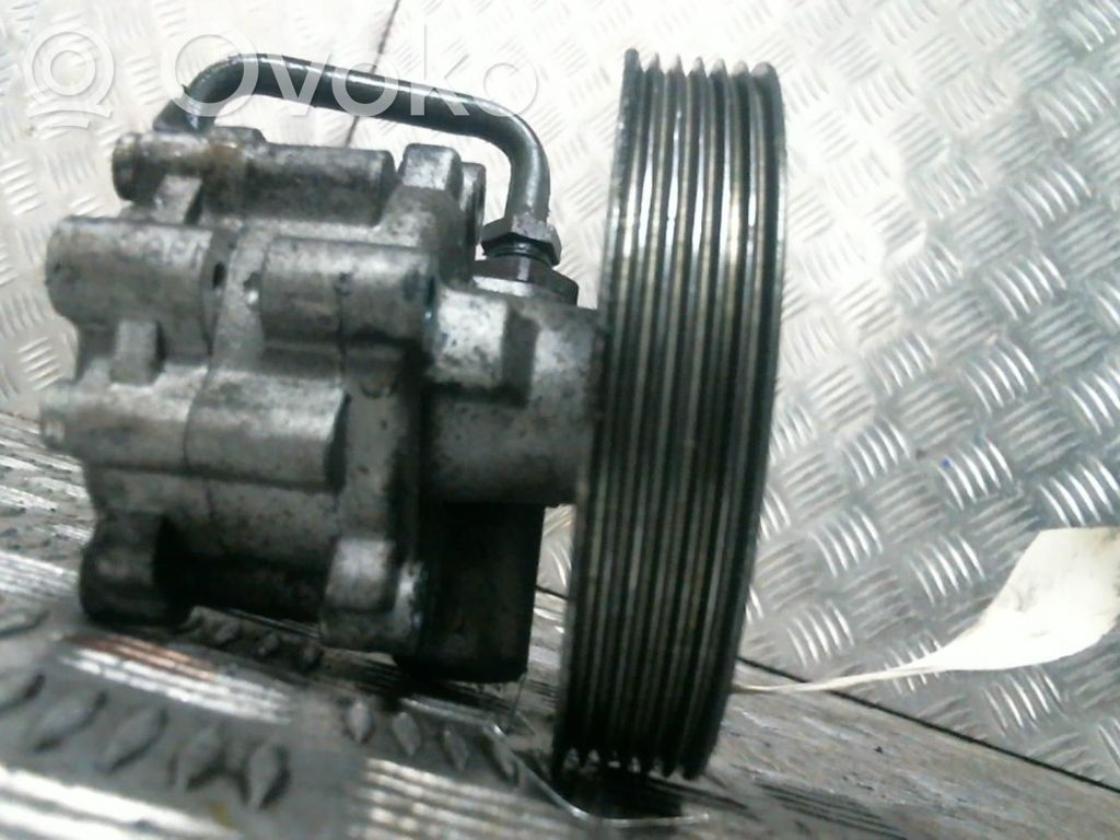 Power steering pump   4007CX