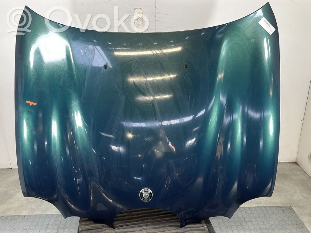 Konepelti   XR826795