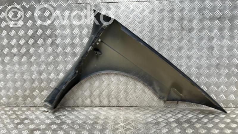 Citroen C6 Guardabarro 