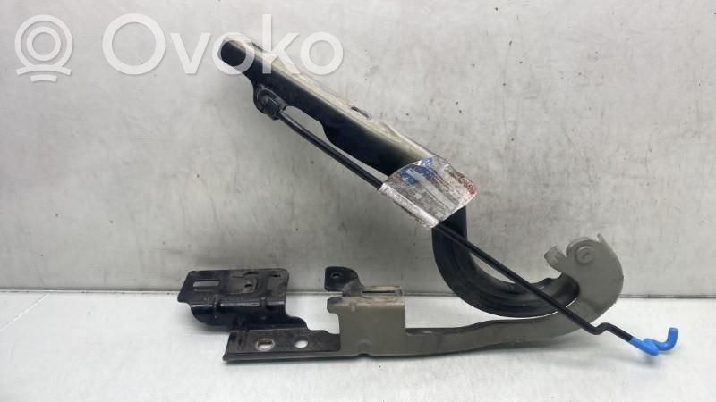 Peugeot 5008 Cerniere del vano motore/cofano 