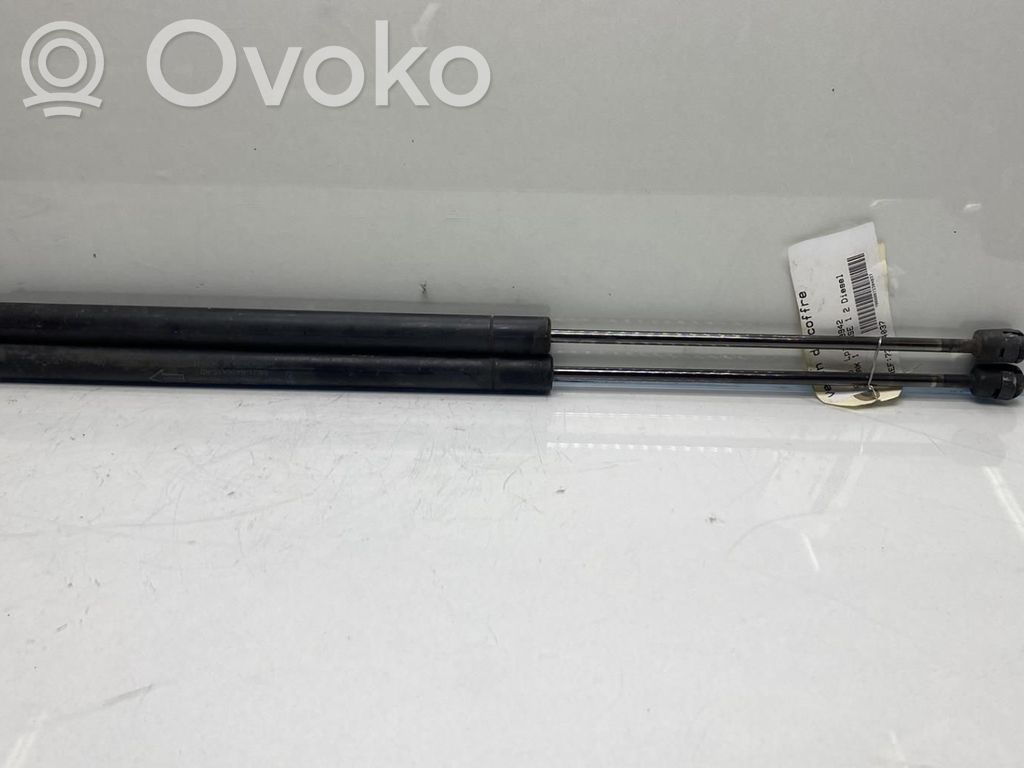 Tailgate/trunk strut/damper   1434296