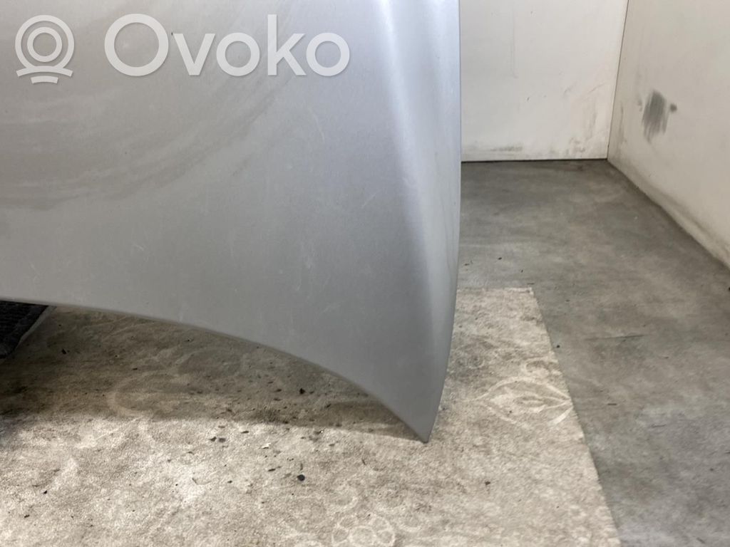 Dzinēja pārsegs (vāks)   41617043239