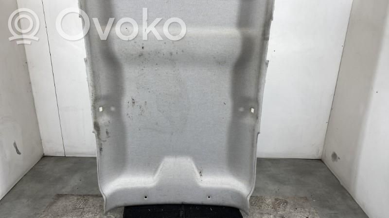 Citroen C4 Cactus Techo 