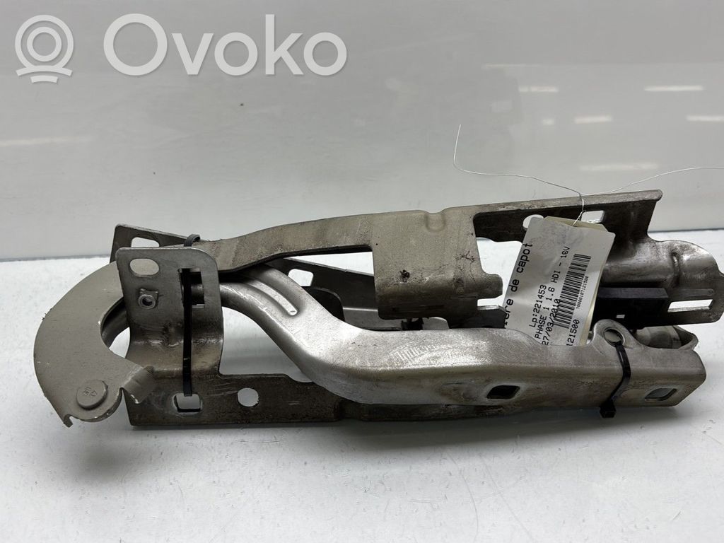 Peugeot 5008 Cerniere del vano motore/cofano 