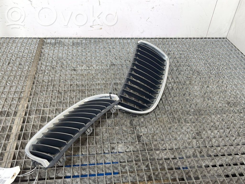 Kühlergrill   51137120008