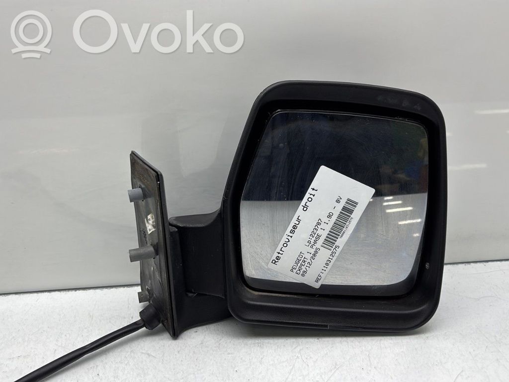 Peugeot Expert Manual wing mirror 