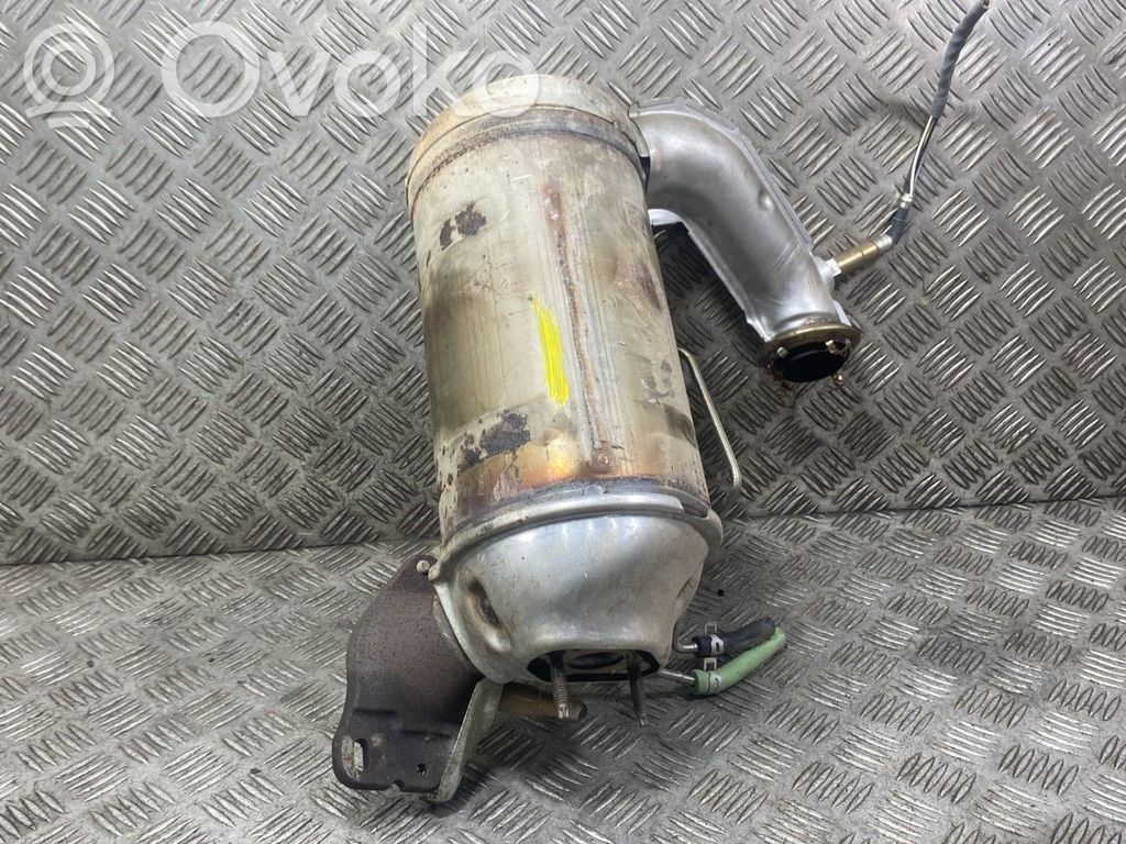 Renault Kangoo II Filtru de particule catalizator/FAP/DPF 