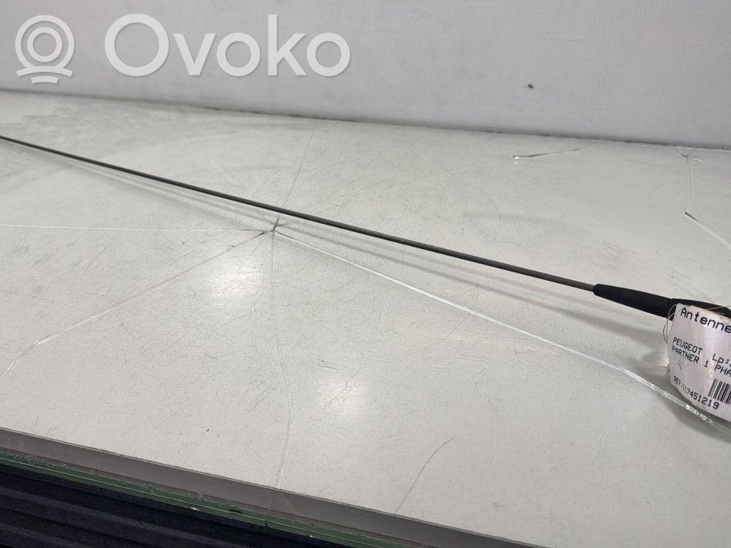 Antenna autoradio   656143