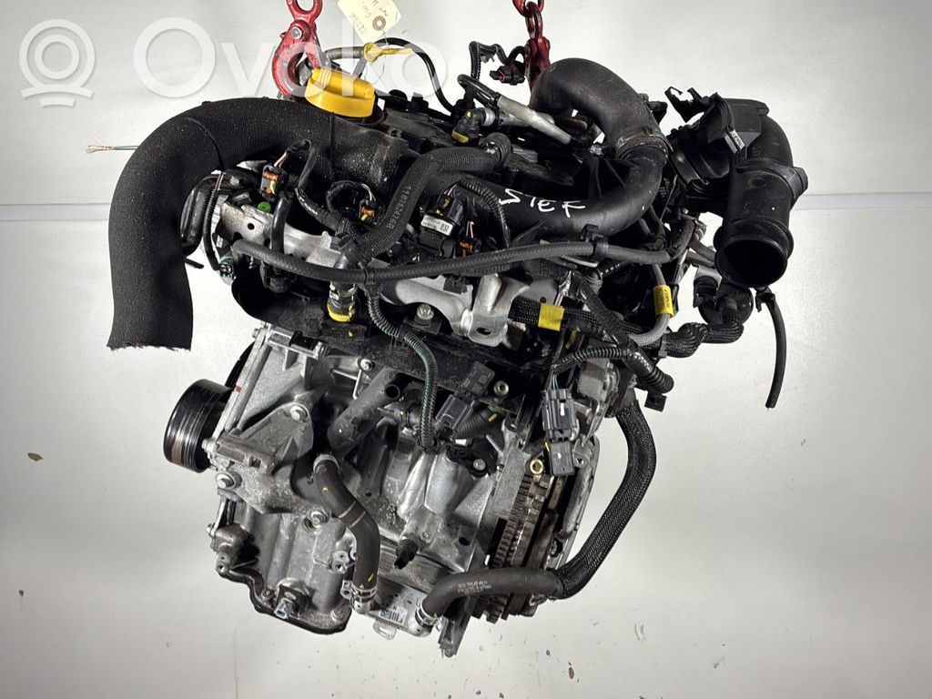 Dacia Sandero III Variklis 