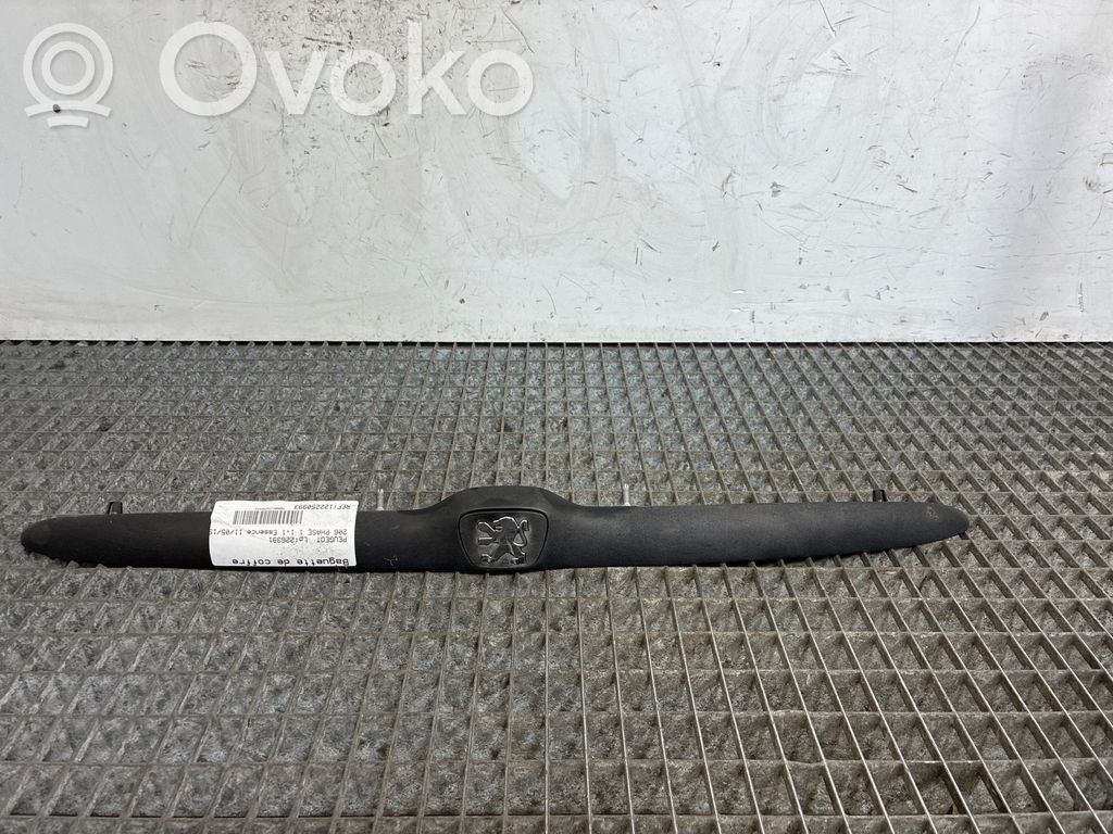 Peugeot 206 Trunk door license plate light bar 