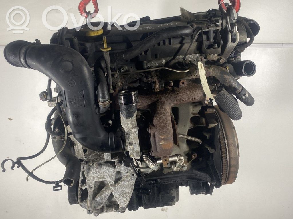 Motor   55579223