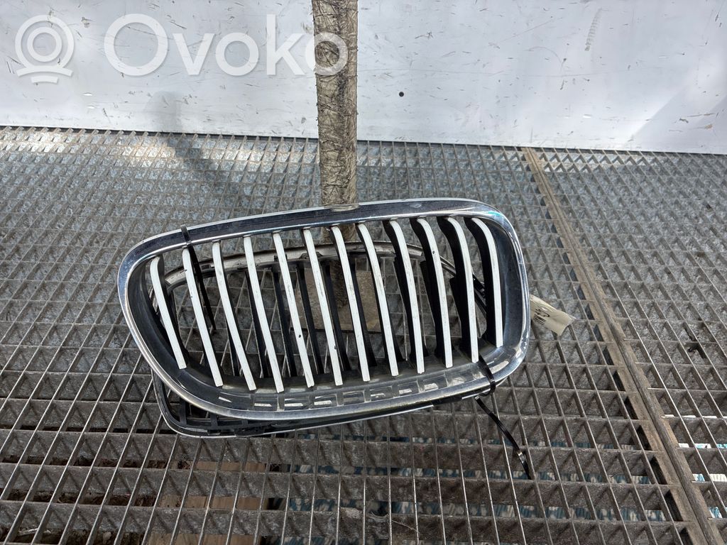 Front grill   51137201969