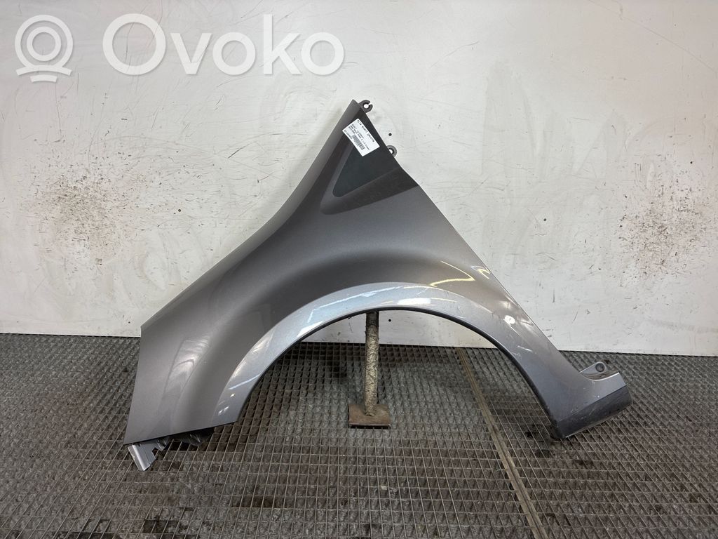 Guardabarro   631019020R