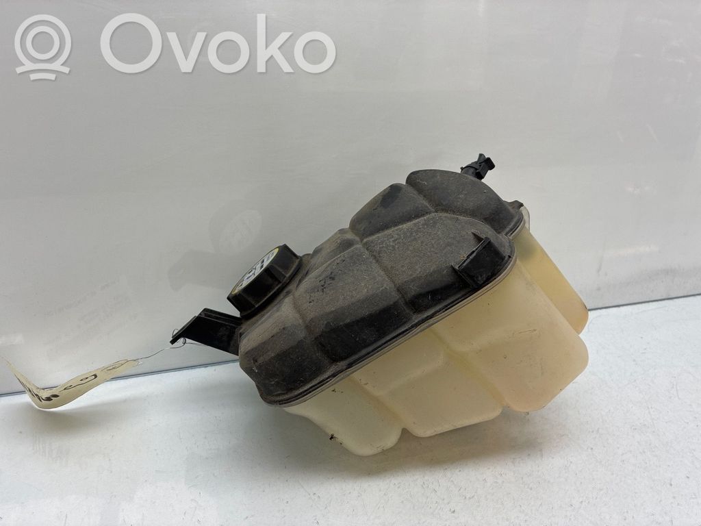 Ford Mondeo MK IV Bușon vas expansiune 