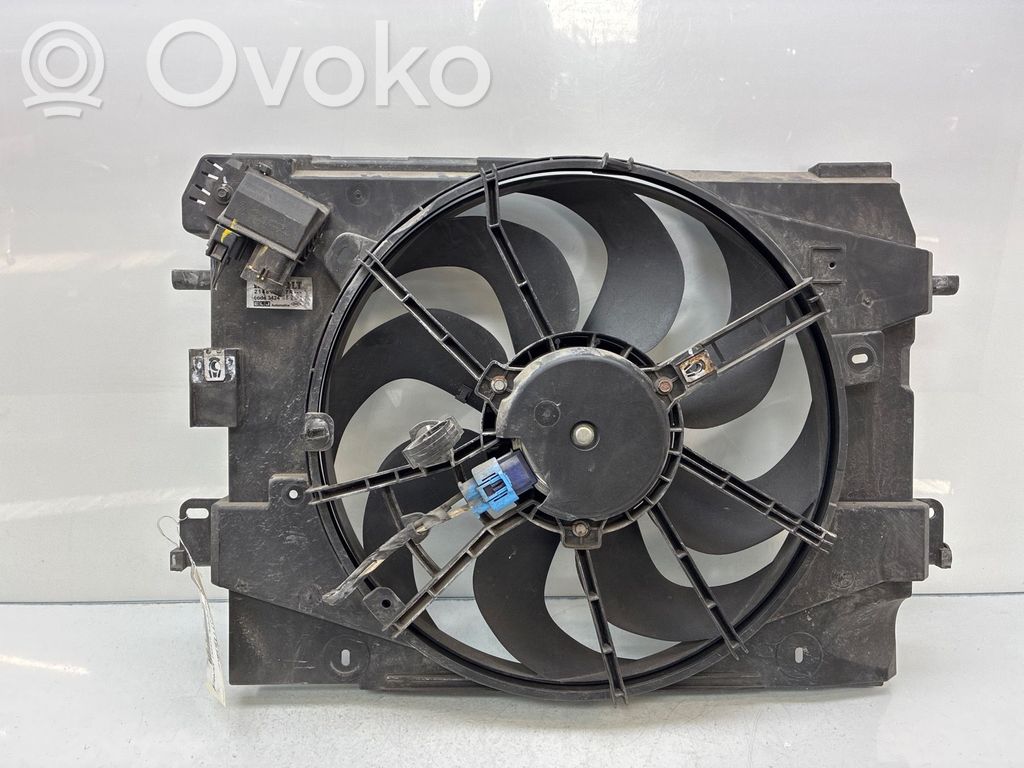 Elektrolüfter   214816436R