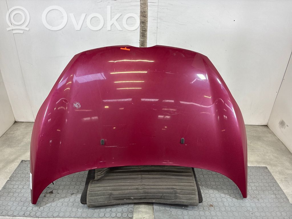 Ford Fiesta Motorhaube