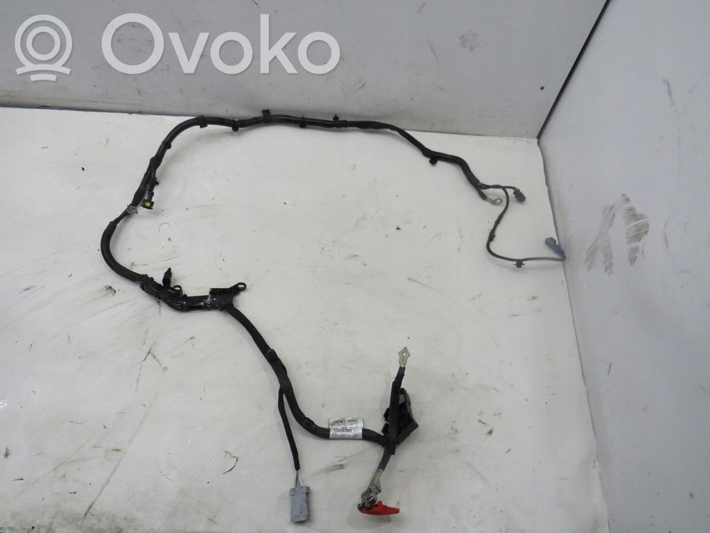 Citroen C4 Grand Picasso Pliusinis laidas (akumuliatoriaus) 