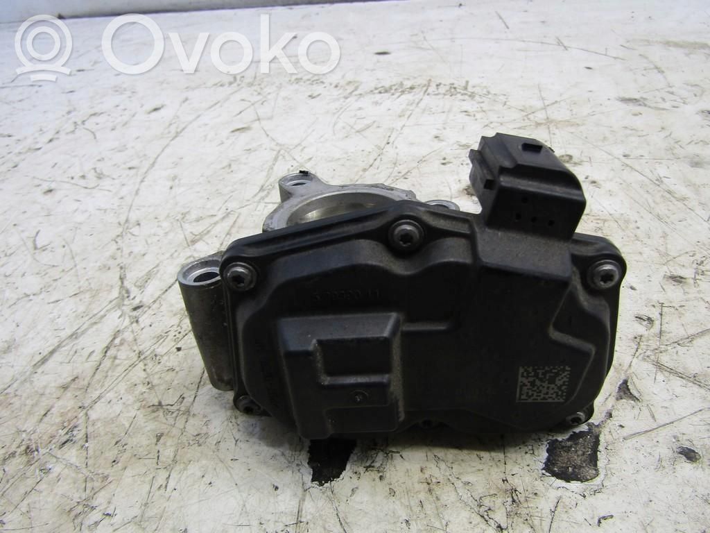 Drosele   50989011