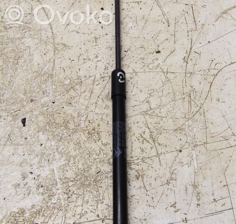 Peugeot 3008 II Tailgate strut 