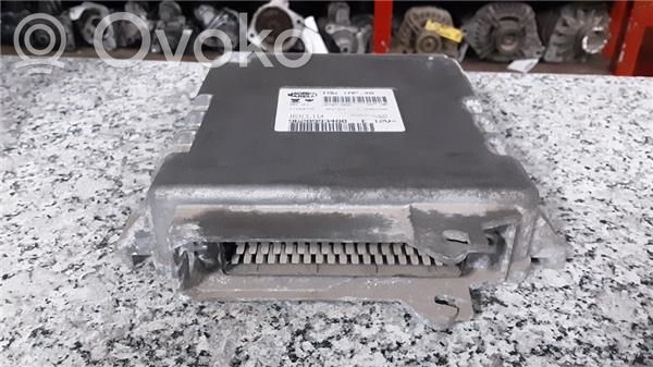Citroen ZX Other control units/modules 