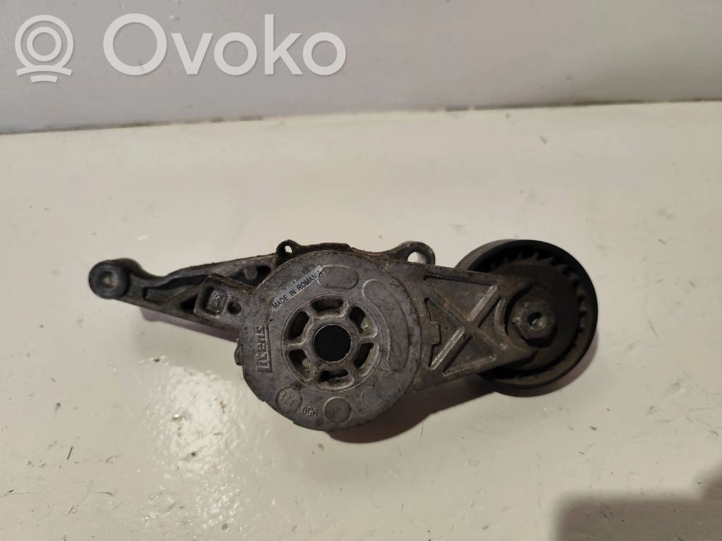 Volkswagen PASSAT B6 Întinzător curea generator/alternator 