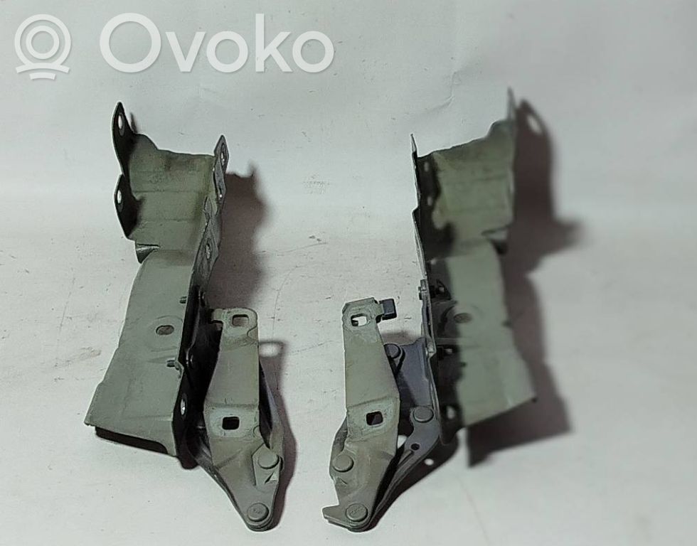 Renault Scenic II -  Grand scenic II Engine bonnet/hood hinges 