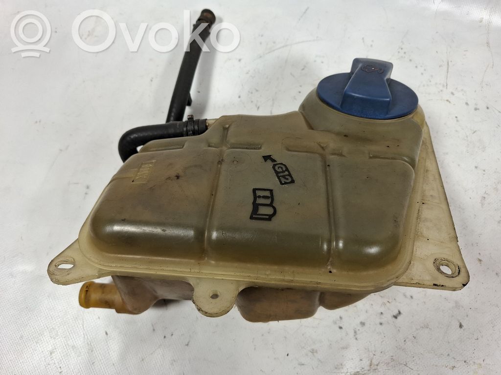 Volkswagen PASSAT B5 Vas expansiune/rezervor lichid de răcire 