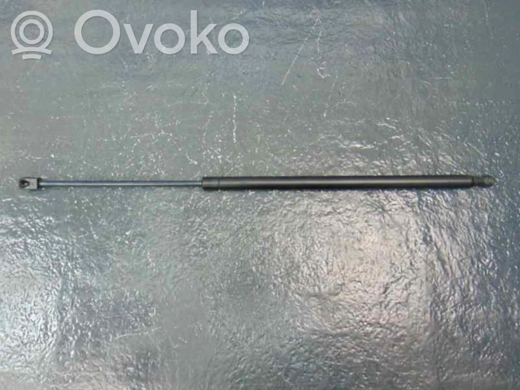 Tailgate/trunk strut/damper