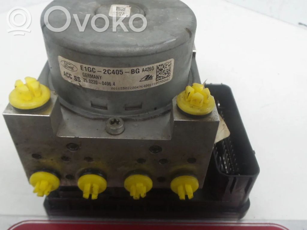 ABS Blokas   E1GC2C405BG,F2GC2C219BG,T8CJ