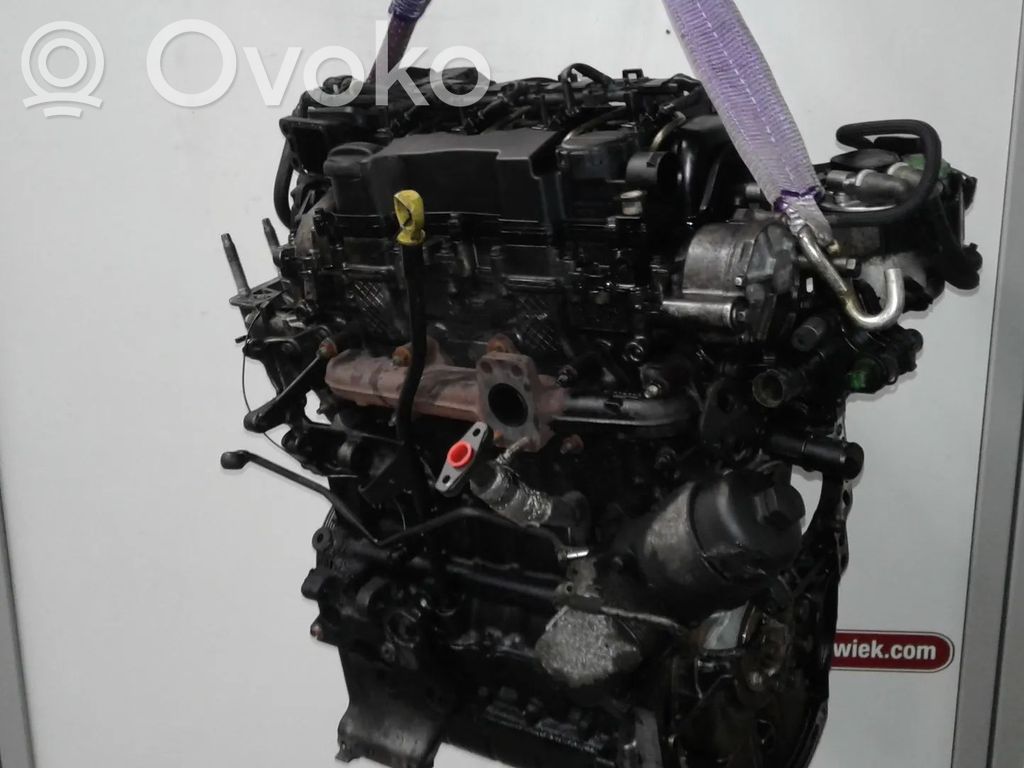 Ford Focus Двигатель 