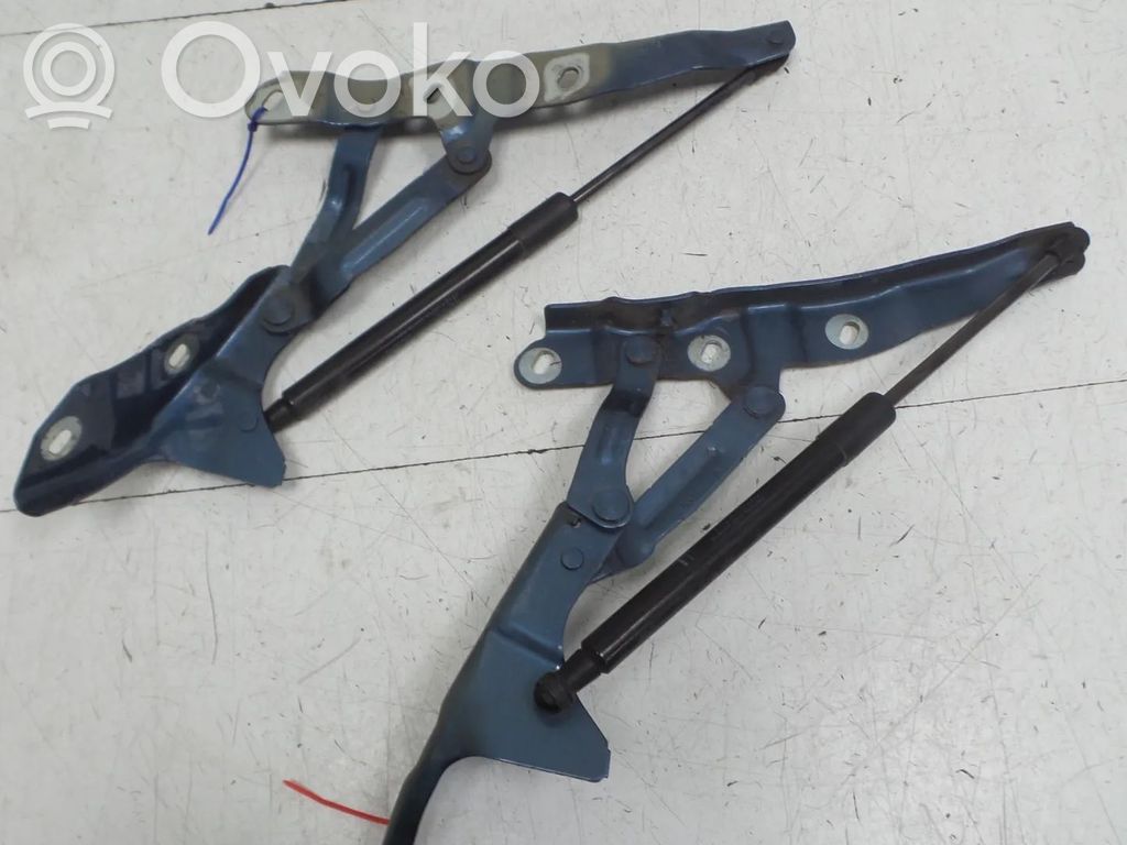 Opel Cascada Engine bonnet/hood hinges 
